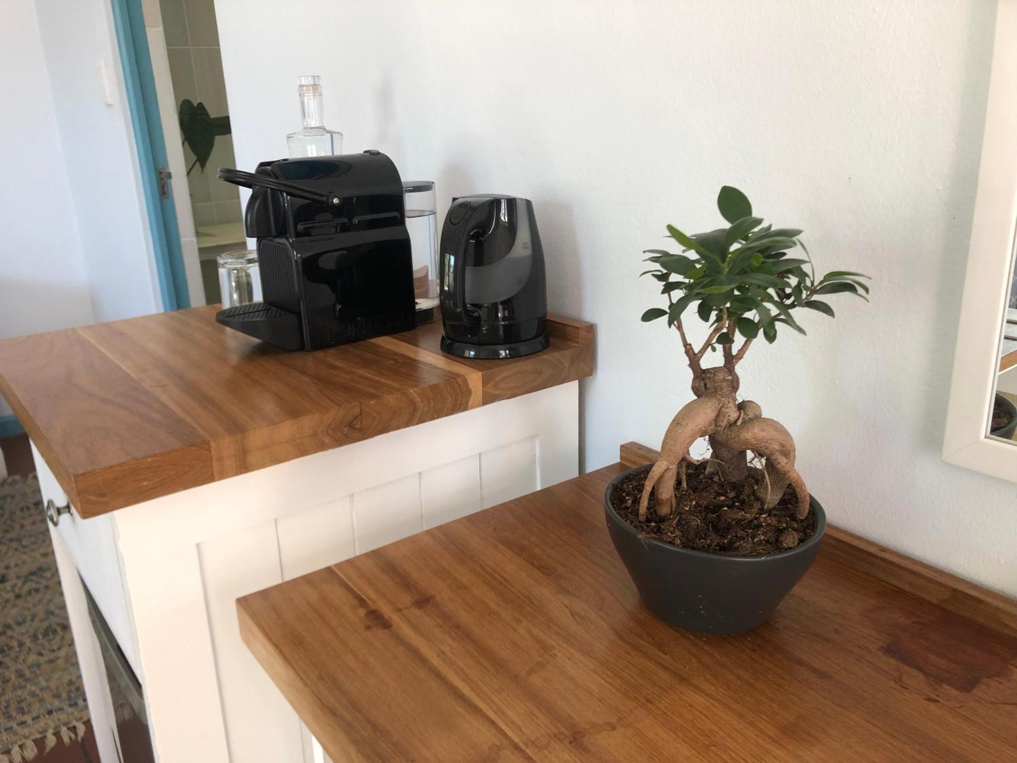 Bluesky Arniston Guest House Ngoại thất bức ảnh