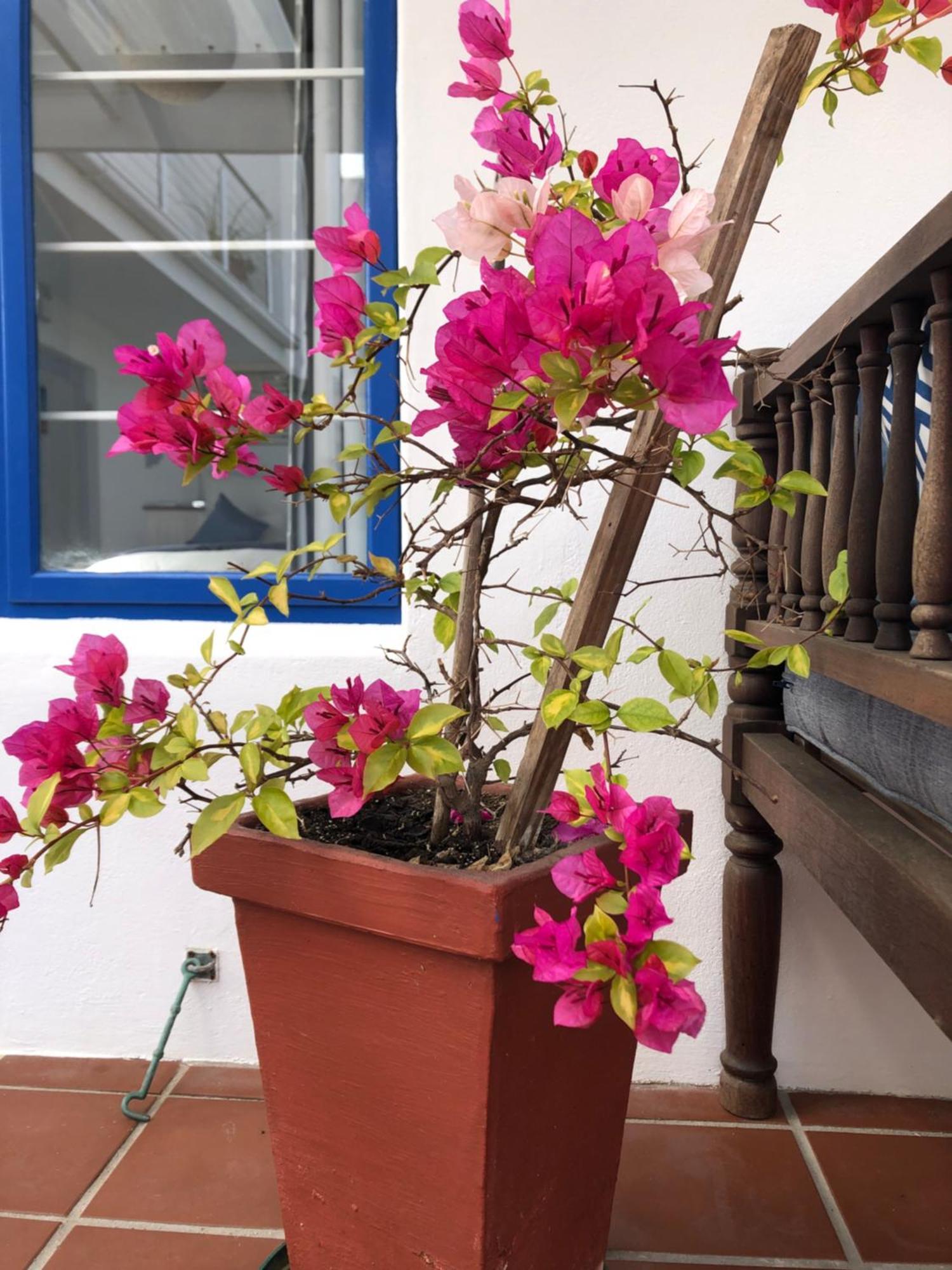 Bluesky Arniston Guest House Ngoại thất bức ảnh