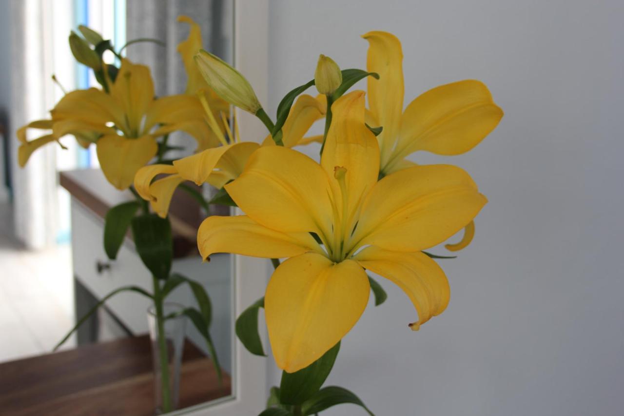 Bluesky Arniston Guest House Ngoại thất bức ảnh