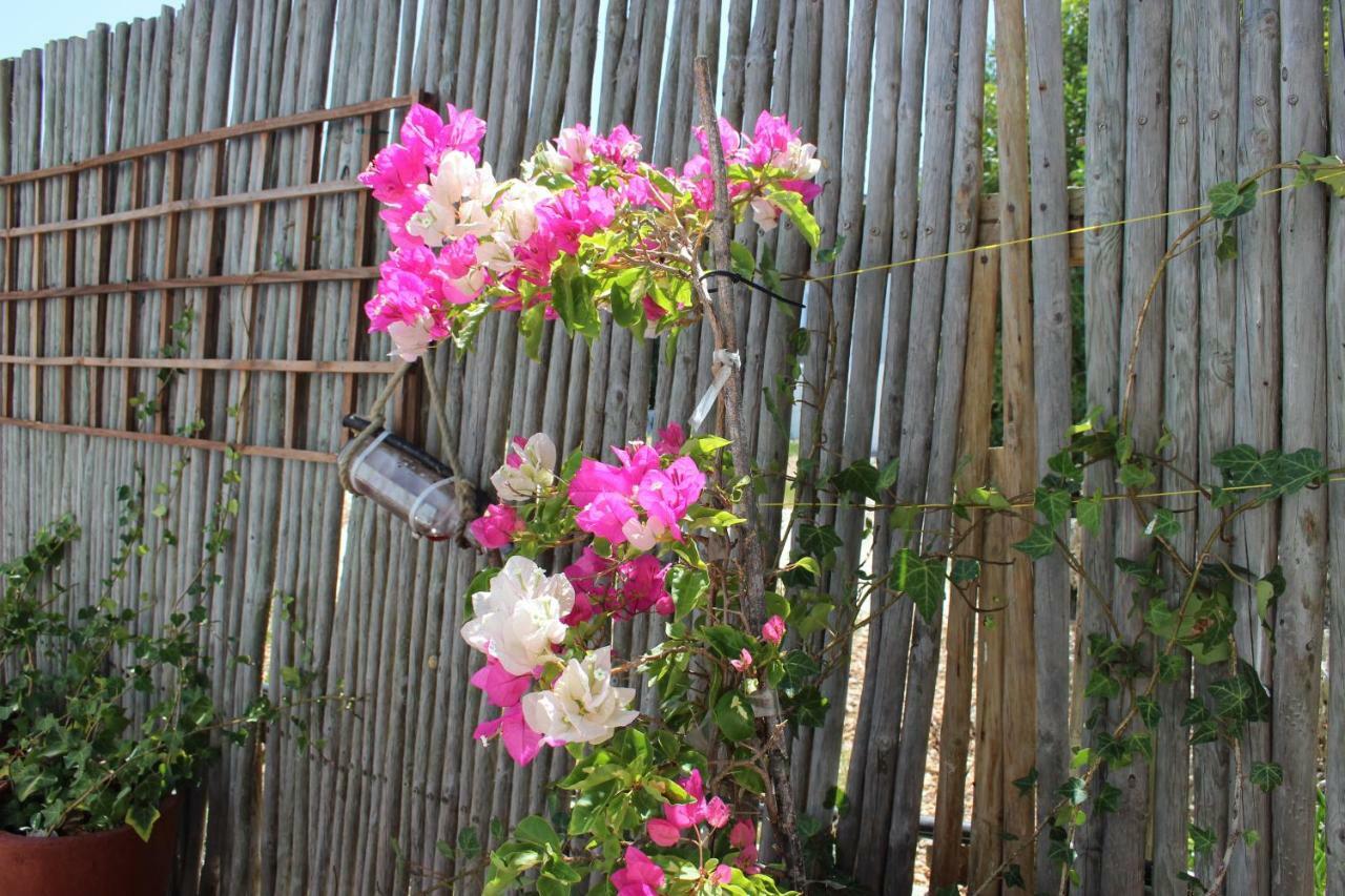 Bluesky Arniston Guest House Ngoại thất bức ảnh